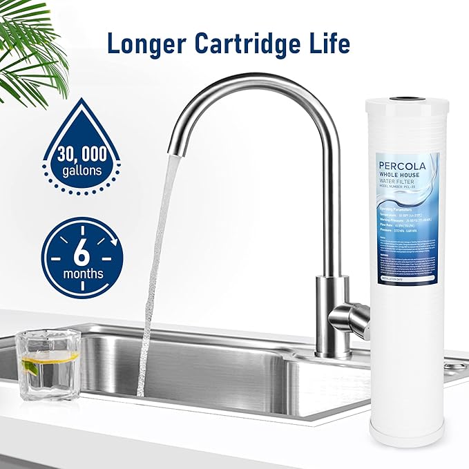 AP810-2 Large Capacity Whole House Replacement Water Filter Drop-in Cartridge, Use with AP802 Systems, 20 X 4.5 Inches (1 Pack)