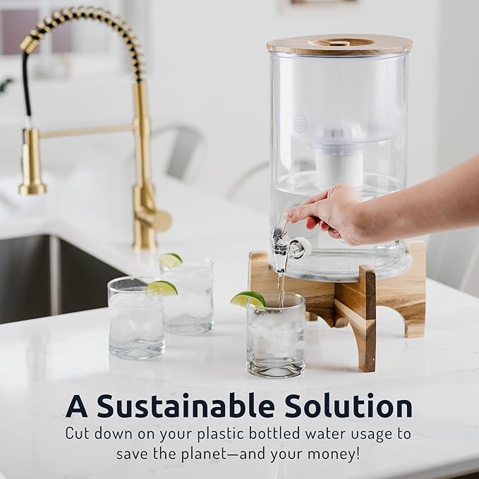 Invigorated Water PH001 - White Alkaline Water Filter – Replacement Filters For all Water Pitcher & Dispenser Filtration Systems – BPA-Free, Removes Chlorine, Heavy Metals – 96 Gallons/Filter (1-Pack)