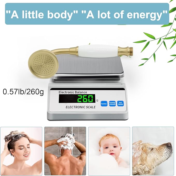 HOMEDEC Vintage Handheld Shower Head with 59inch Flexible Hose High-Pressure Antique Rain Showerhead Combo Replacement No Wand Holder, Round Telephone Shape, Brushed Gold