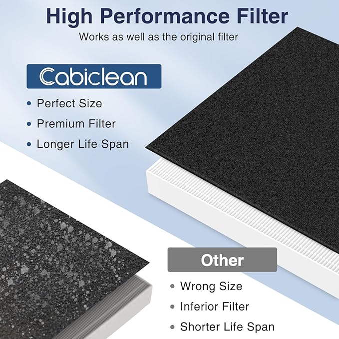 [2+8 Pack] 115115 Replacement Filter A Size 21 for Winix PlasmaWave C535, 5300, 5300-2, P300, 6300, 6300-2, AM90, 9000, 5000, 5000B, C909, 9800 Air Purifiers, 2 HEPA Filters+8 Pre-Filters