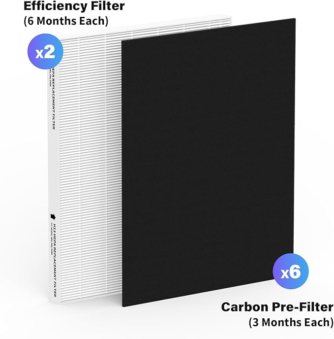 2 Pack Replacement Filter for Fellowes AeraMax 290/300/DX95 Purifiers and HF-300/AP-300PH, Fits Part# 9287201 & 9324201, 2 Filter and 6 Carbon Filter