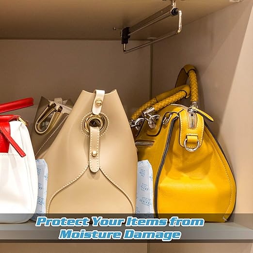 SurpOxyLoc 100 Gram(5Packs) Food Grade Silica Gel Packs Dessicant Packets for Moisture Control,Cobalt Chloride Free Moisture Absorbers for Food Storage