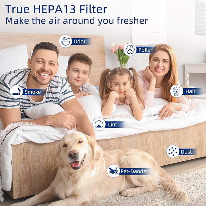25 Air Purifier Replacement Filter: Compatible with MA Series Air Purifier 25 S1/W1/B1, 3 in 1 Pre-filter, Pleasted Filter and Activated Carbon Filter, 2 Pack