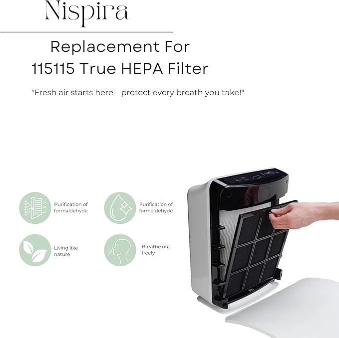 Nispira C545 HEPA Filter Replacement Ture HPEA For Winix C545 Air Purifier, P150, B151, 9300, Part Filter S 1712-0096-00 & 2522-0058-00, 113050 2 Sets