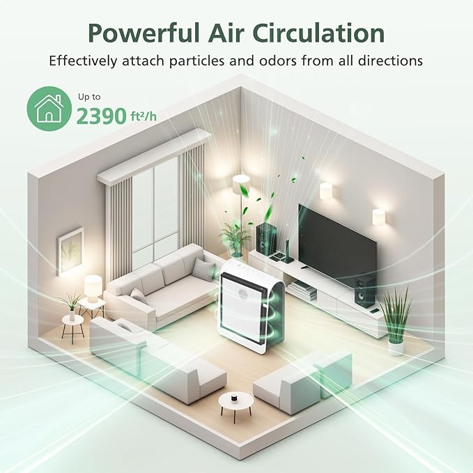 AP-M1419 Replacement Filter Compatible with DBFIT AP-M1419 Air Purifi-er, 2 Pack HEPA and Activated Carbon Filter + 4 Pack Pre-filter for Dust Pets Pollen Smoke, 2+4 Pack