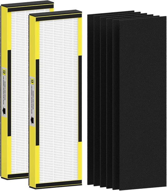 2 Packs FLT4825 HEPA Replacement Filter B Compatible with AC4825 AC4825E AC4300 AC4800 AC4900 AC4850, 2 True HEPA Filters & 6 Activated Carbon Pre-Filters