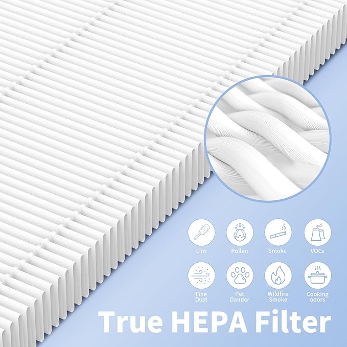 HSP001 Filter Replacements, 2 Pack