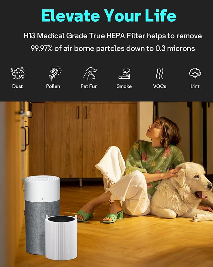 Leemone 411 SmokeBlock Filter Replacement Compatible with Blueair Blue Pure 411, 411 Auto, 411+ Air Purifier, Blue Pure 411 Series Replacement Filter, 2 Pack