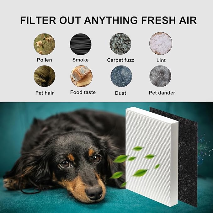 1216L H13 True HEPA Replacement Filter, Compatible with AP-1216L, 2 Stages with H13 True HEPA and Activated Carbon Filter Set (2 Pack)