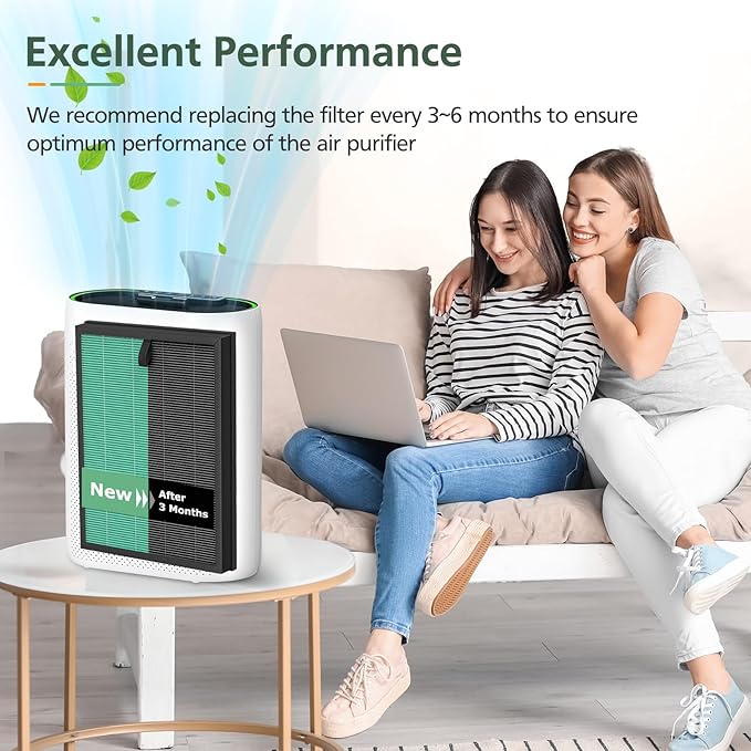 2-Pack MK-D05 Air Fil-ter Replacement for MK-D05 Air Cleaner Puri-fier, 4-in-1 Filtration with HEPA Filt-er and Activated Carbon Filt-er, Green (Pet Dander Version)