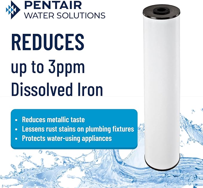 Pentair Pentek RFFE20-BB Big Blue Water Filter, 20-Inch, Whole House Radial Flow Iron Reduction Replacement Cartridge, 20" x 4.5", White