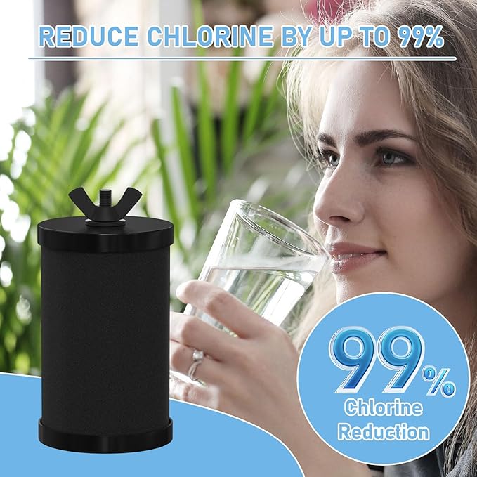 2387 Water Filter Replacement, Black Purification Elements Water Purifier Replacement Filters Compatible with Alexapure Pro Gravity Water Filter System, 5,000 Gallon Throughput Capacity, 2 Packs