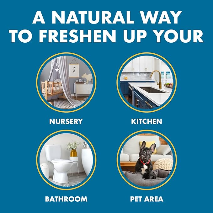 Gonzo Natural Magic Odor Air-Magnet with Activated Charcoal - 14 Ounce (2 Pack) - Odor Eliminator for Car Closet Bathroom and Pet Area Captures and Absorbs Smoke Odors