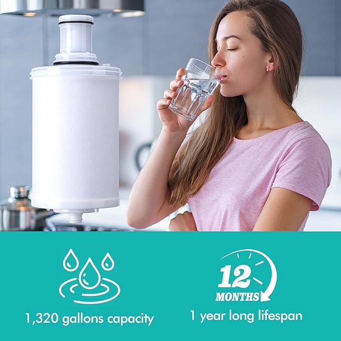 100186 Replacement Filter Cartridge Compatible with Amway espring Water Filter System, High-Precision Filter element, Retains beneficial minerals such as calcium and magnesium