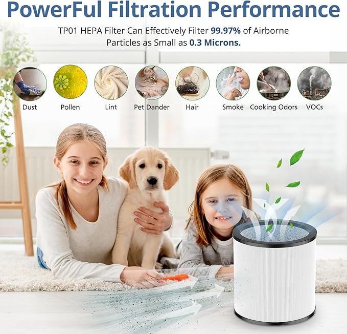 Upgraded TP01 Filter HEPA Replacement Filter Compatible with Dyson Tower Purifier Pure Cool Link TP01, TP02, TP03, AM11, BP01 Models, Compare to Part # 968126-03, 2 Pack