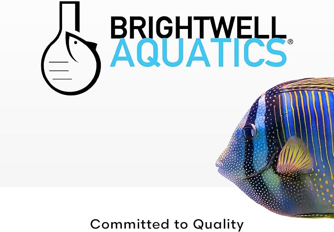 Brightwell Aquatics SpongExcel – Ionic Silica Solution for Marine Sponge & Gastropod Growth in Marine Aquariums, Boosts Water Quality, 20 L