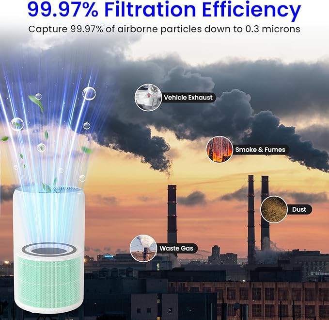 2-Pack Core 300 Replacement Filter Compatible with LEVOIT Core 300 and Core 300S Air Purifier, H13 True HEPA, High-Efficiency Activated Carbon, Replace Core300-RF-TX, Green