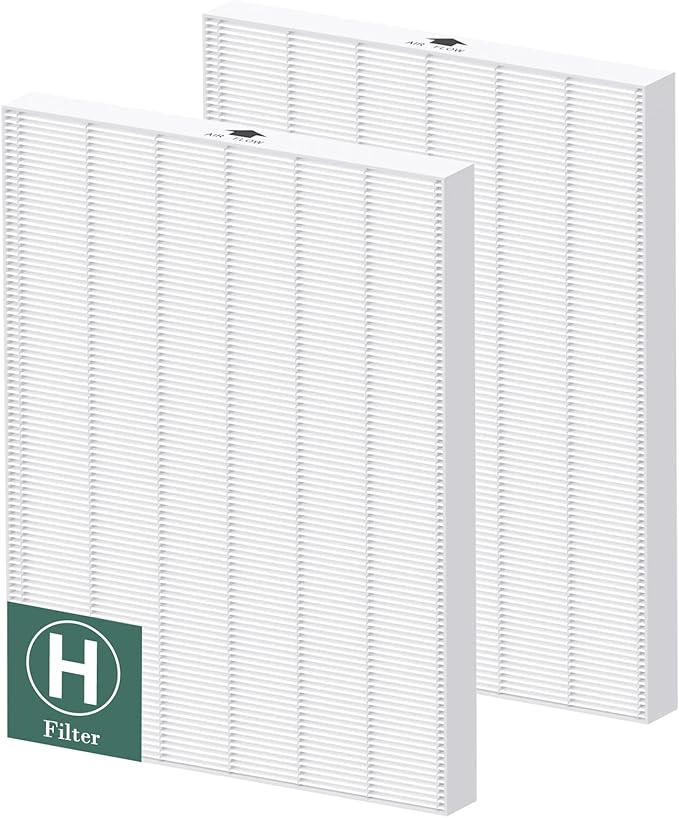 116130 Replacement Filter H Compatible with Winix 5500-2/ AM80 Air Purifi-ers, HEPA Filter for Dust Pollen Hair Pet Dander Smoke, 2 Pack(White)