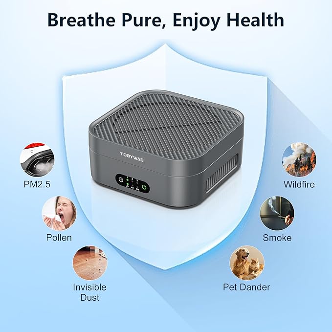 Air Purifiers for Home 600 Sq.Ft, TDBYWAE H13 True HEPA Air Purifier with USB Cable for Pets Dust Dander Pollen Odor Smoke, Small Portable Air Purifier for Bedroom Office Desktop Car RV (Grey)