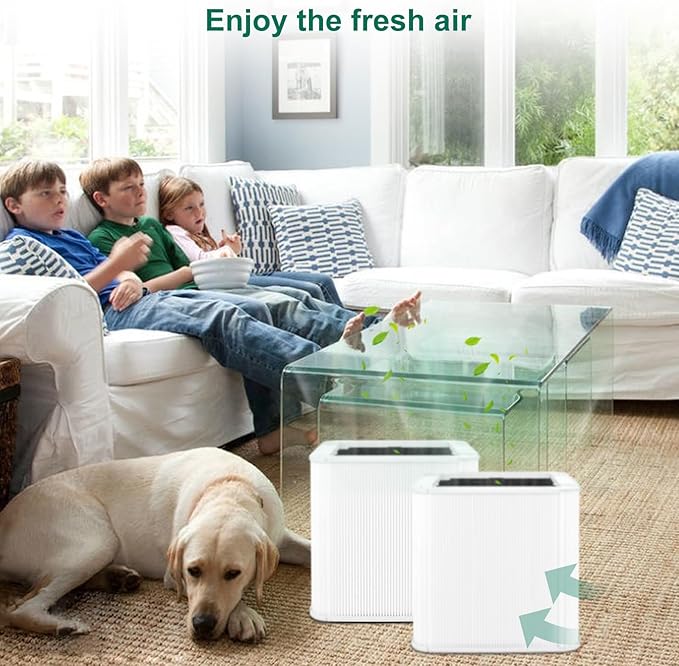 2 Pack 211+ filter replacement Compatible with 211 replacement filter, with Activated Carbon Filter.