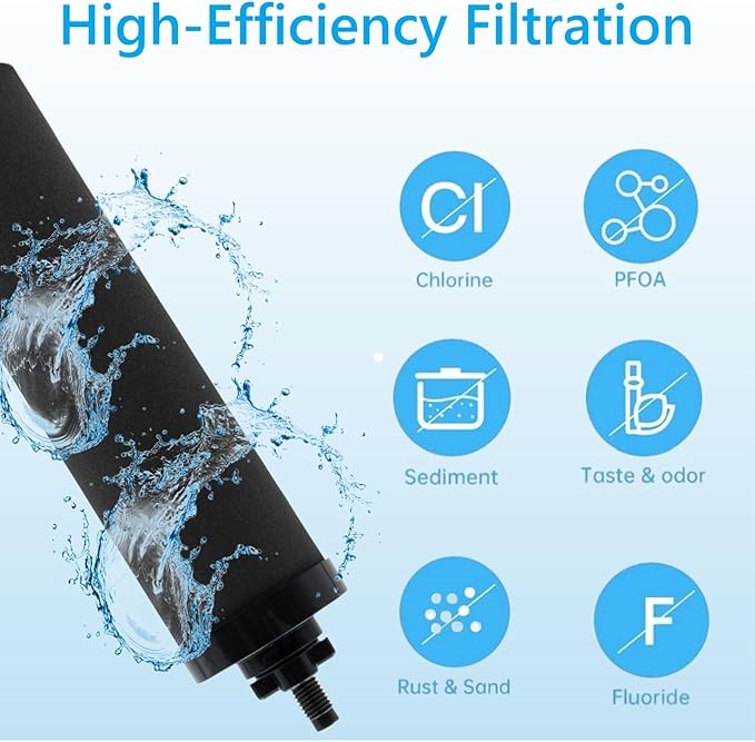 Water Filters Replacement for Berkey, 2 Pack Black Purification Elements for BB9-2 Gravity Filtration System
