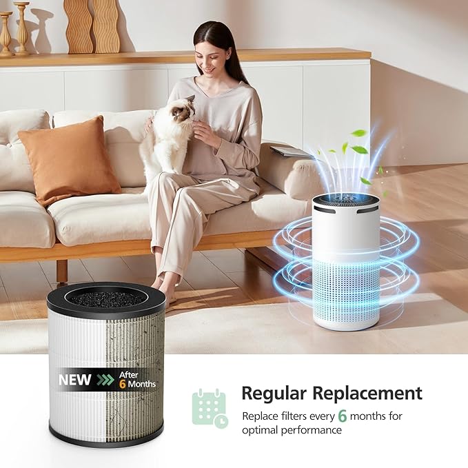 W-01 Replacement Filter Compatible with DBFIT W-01 Air Purifi-er Air Cleaner, 3-IN-1 HEPA Filter, Activated Carbon Filter and Pre Filter for Dust Smoke Pet Hair Odor, 2 Pack, White