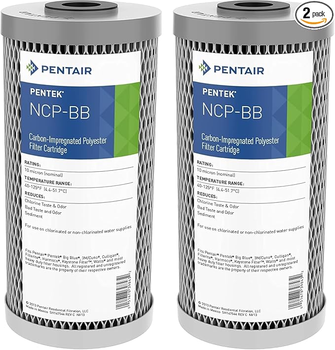 Pentair Pentek NCP-BB Big Blue Carbon Water Filter, 10-Inch, Whole House Non-Cellulose Carbon Impregnated Pleated Filter Cartridge, 10" x 4.5", 10 Micron, Pack of 2