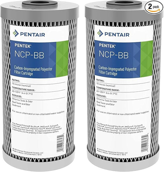 Pentair Pentek NCP-BB Big Blue Carbon Water Filter, 10-Inch, Whole House Non-Cellulose Carbon Impregnated Pleated Filter Cartridge, 10" x 4.5", 10 Micron, Pack of 2