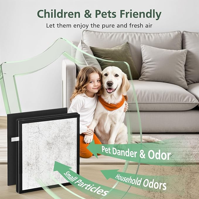 AP-M1419 Replacement Filter Compatible with DBFIT AP-M1419 Air Purifi-er, 2 Pack HEPA and Activated Carbon Filter + 4 Pack Pre-filter for Dust Pets Pollen Smoke, 2+4 Pack