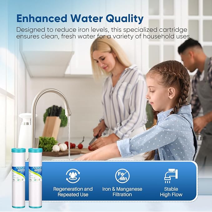 PUREPLUS 5 Micron 20" x 4.5" RFN20BB Whole House Iron & Manganese Reduce Water Filter Replacement Cartridge, Replacement for FM25B, RFFE20-BB, CFRFFE-20BB, 1 Pack