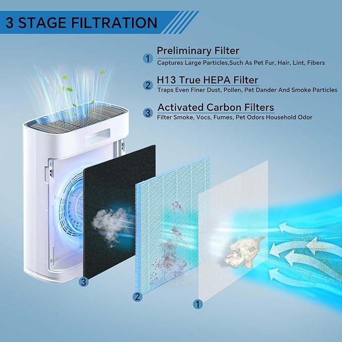 HAP603 HEPA Air Filter Compatible with ECOSELF HAP603 HAP603WF Air Purifier, H13 High Efficiency Activated Carbon Filter 4 Packs