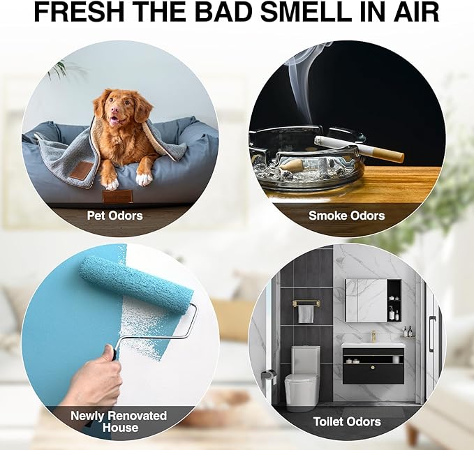 Ozone Generator – 50,000mg/h High-Capacity Air Purifier for Odor Control, Home, Kitchen, Car, Office, Basement, Pets, and Smoke – Covers Areas Up to 6,000 Sq Ft