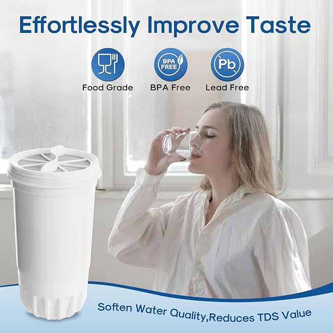 ICEPURE NSF53 6-Stage Pitcher Water Filter Replacement for Zero Pitchers ZR-017, ZR-001, ZR-003, ZR-004, ZR-006, ZR-008, ZR-012, ZR-600,0-TDS 4PACK