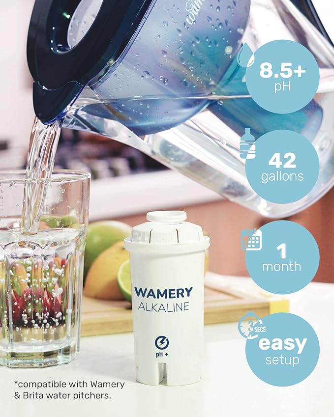 Wamery Alkaline Pitcher Water Filter Replacement - Single Filter, Improves pH & Taste, 42‑Gallon Capacity, Coconut Activated Carbon with Mineral Layer, Leak‑Free Fit, Easy Install, BPA‑Free