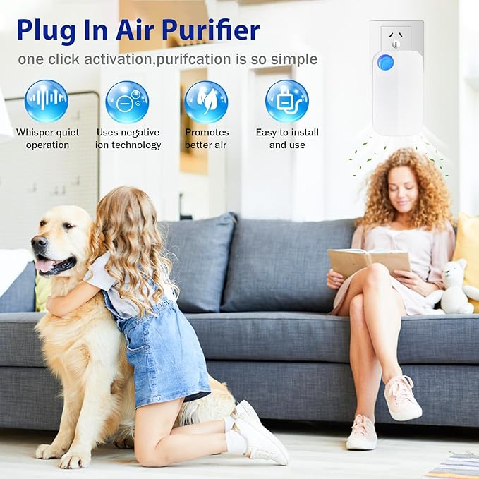 Ionizer Air purifiers for Home Plug in,Air Ionizers for Home Portable and Quiet Ionic Air Cleaner for Bedroom Toilet Office Kitchen and Pets(2)