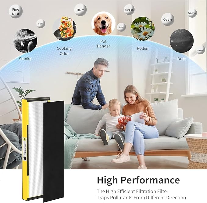 6 Packs FLT4825 H13 True HEPA Replacement Filter B Compatible with Technologies Air Cleaner Purifier AC4300BPTCA, CDAP4500BCA, AC4825, AC4850PT, AC4820, AP2200CA