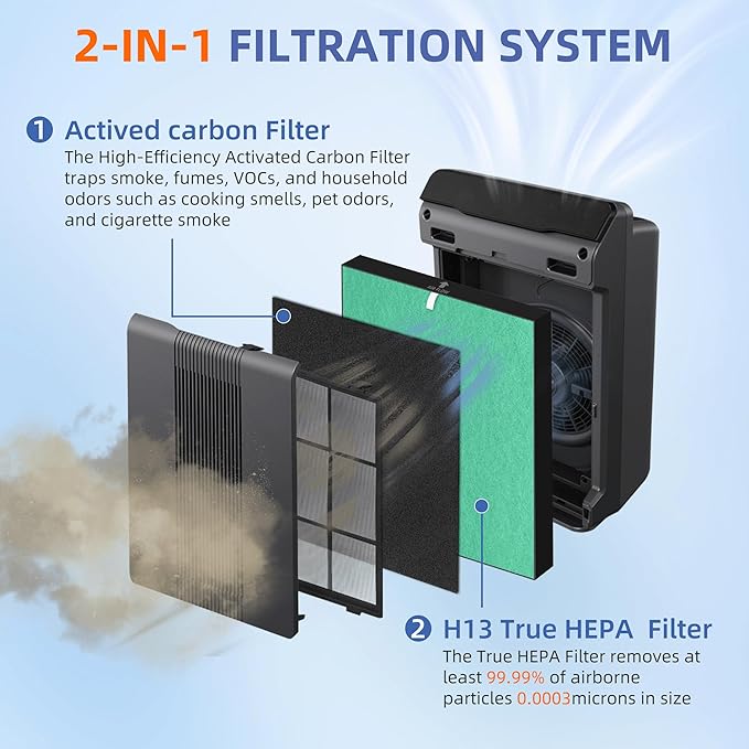 115115 HEPA Toxin Absorber Replacement Filter A for Winix Plasmawave Air Purifier C535 5300 5300-2 6300 6300-2 P300 AM90 C909 9800,2 x True HEPA Size 21 Filters + 8 x Carbon Pre-Filters