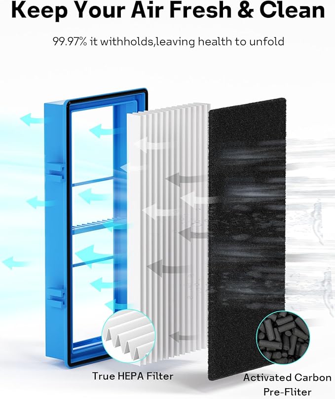 Aller-gen Remover Aer1 Filter Replacement for Holmes Air Puri-fiers, 1 True HEPA Filters + 2 Carbon Booster Filters, HAPF300AP-U4