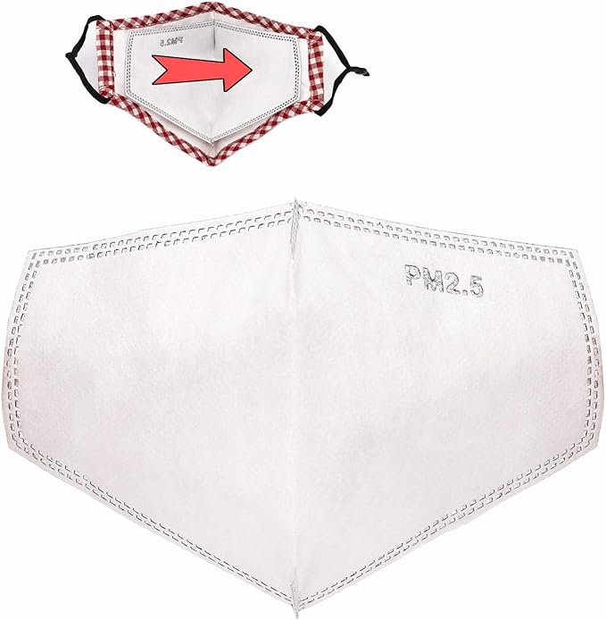 100 PCS New 3D Cutting PM 2.5 Activated Carbon Filter, 5 Layers 3D Pm2.5 Filter Insert Dustproof Air Pollution Replaceable Protective Filter Large Size