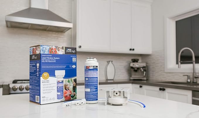 Watts Premier H2O-DWCFL100 Pure H2O Lead Reduction Filtration System with Full-Flow Filter and Supply Line Adapter, Flow Rate 1.5 GPM, 1/4 Turn Quick Change, Reduces Sediment, Chlorine Taste & Odor