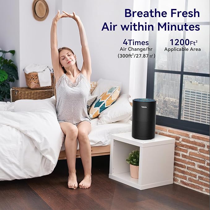 Air Purifiers for Bedroom Home, Tailulu H14 True HEPA Air Purifier Filter, Quiet Air Cleaner With 12dB Sleep Mode Night Light Speed Control Timer, Portable Small Air Purifier For Allergies Pets, AP052