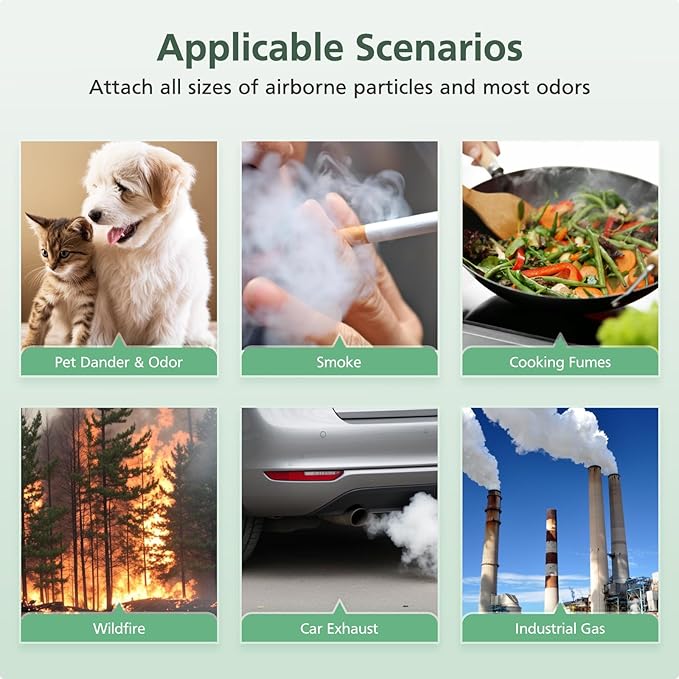 AP-M1419 Replacement Filter Compatible with DBFIT AP-M1419 Air Purifi-er, 2 Pack HEPA and Activated Carbon Filter + 4 Pack Pre-filter for Dust Pets Pollen Smoke, 2+4 Pack