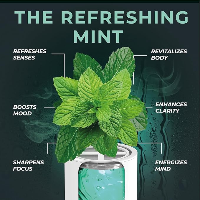 AquaHomeGroup Vitamin C + E + A Shower Filter Replacement Cartridge with Aroma Granules (Mint)