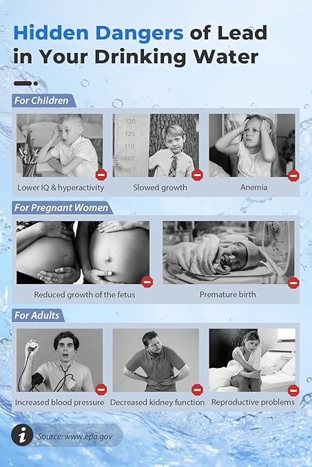 iSpring SGS-Tested Lead Removal Whole House Water Filter System, Reduces Arsenic, Cadmium, Mercury, Sediments, Chlorine, and up to 99% Lead, Model: WGB32B-CPB, Pack of 1