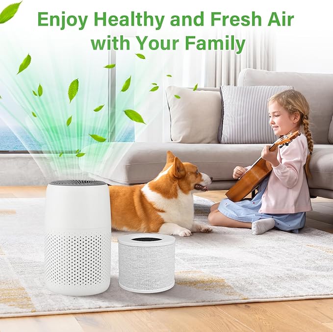 Core Mini Replacement Filter