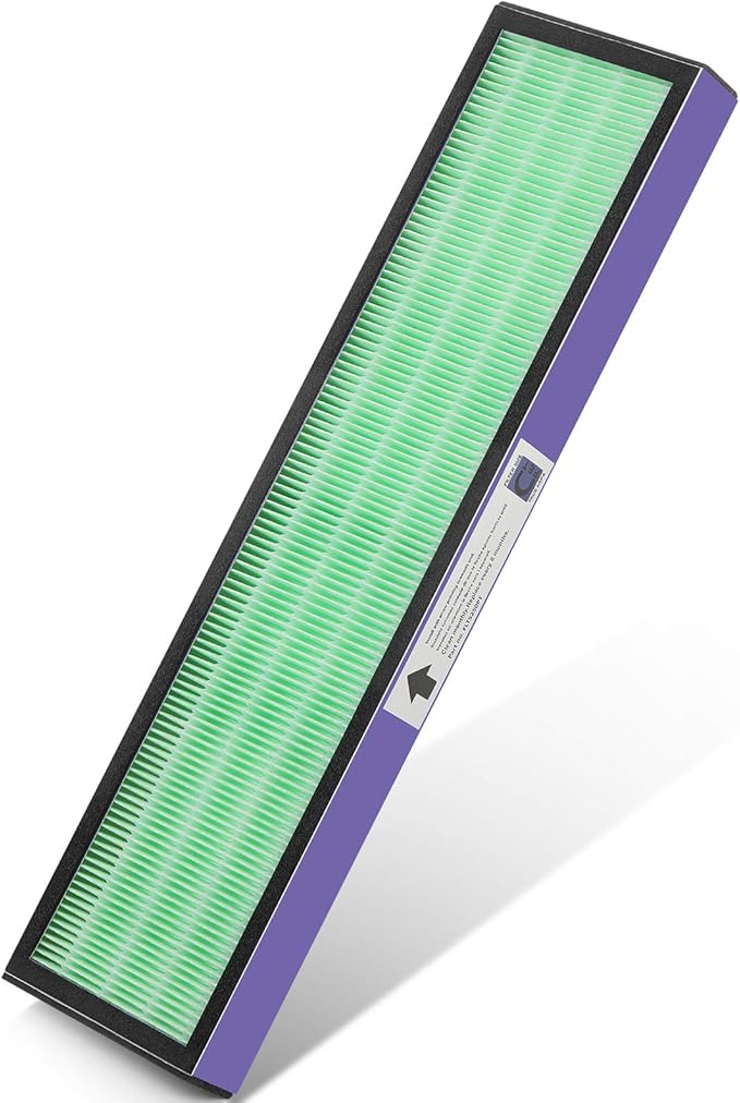 isinlive 2 Pack FLT5000 HEPA Filter C Replacement with Pet Pure Treatment, and 8 Pack Activated Carbon Pre-Filters for Ger Guardian Air Purifier FLT5111 AC5000 AC5000E AC5250PT AC5350B AC5350BCA