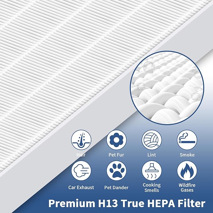 2 Pack C545 True HEPA Replacement Filter S Compatible with Winix C545, B151, P150, 9300 Air Purifier Replacement for Winix S Filter Part 1712-0096-00 and 2522-0058-00 by Funmit