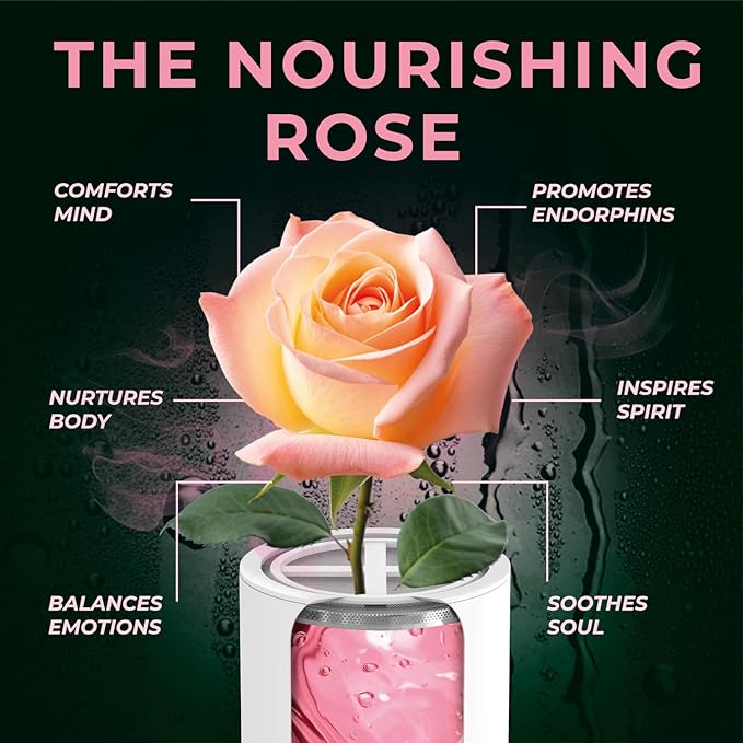 AquaHomeGroup Vitamin C + E + A Shower Filter Replacement Cartridge with Aroma Granules (Rose) - Removes Chlorine, Supports Skin & Hair Health - Compatible with Similar 15 20 Stage Filters