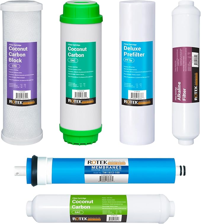 Reverse Osmosis Alkaline pH+ Water Filter Set | 6 Replacement Water Filters with 100 GDP Membrane | 6 Month Supply | Under Sink RO Water Filter | PP, GAC, CTO, ROM, PC, ALK | Universal 10 Inch Size