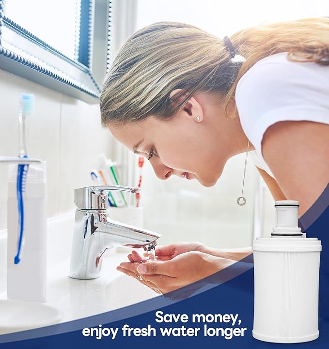 100186 Water Filter Cartridge for Amway Espring Filter, 3-in-1 Water Filter Replacement Part, 6 Levels Filtration for Removing Odors Heavy Metal Residual Chlorine in Water